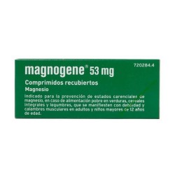 MAGNOGENE 53 MG 45 COMPRIMIDOS RECUBIERTOS